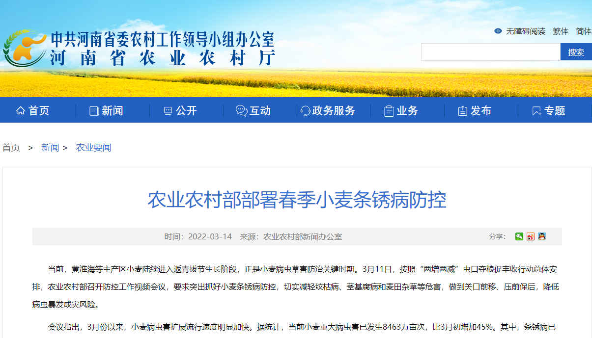 農(nóng)業(yè)農(nóng)村部部署春季小麥條銹病防控