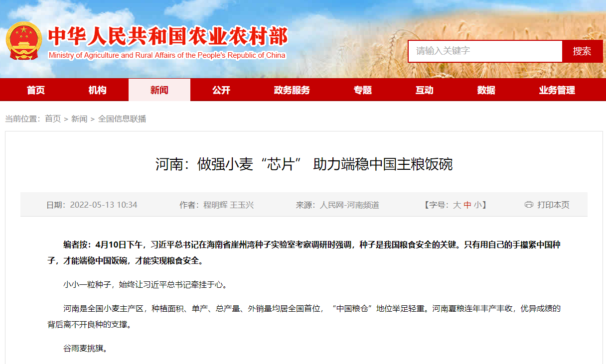 河南：做強(qiáng)小麥“芯片” 助力端穩(wěn)中國主糧飯碗