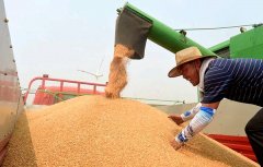 關(guān)系14億人的飯碗，定了這些大事！