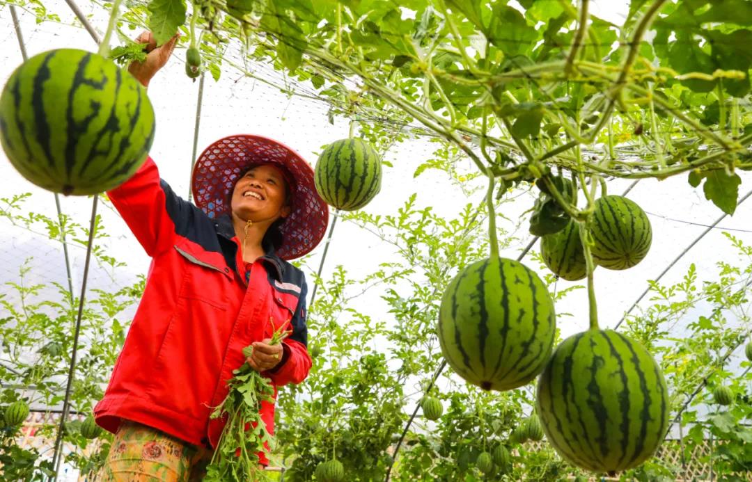 1623048578808741.jpg 44.jpg