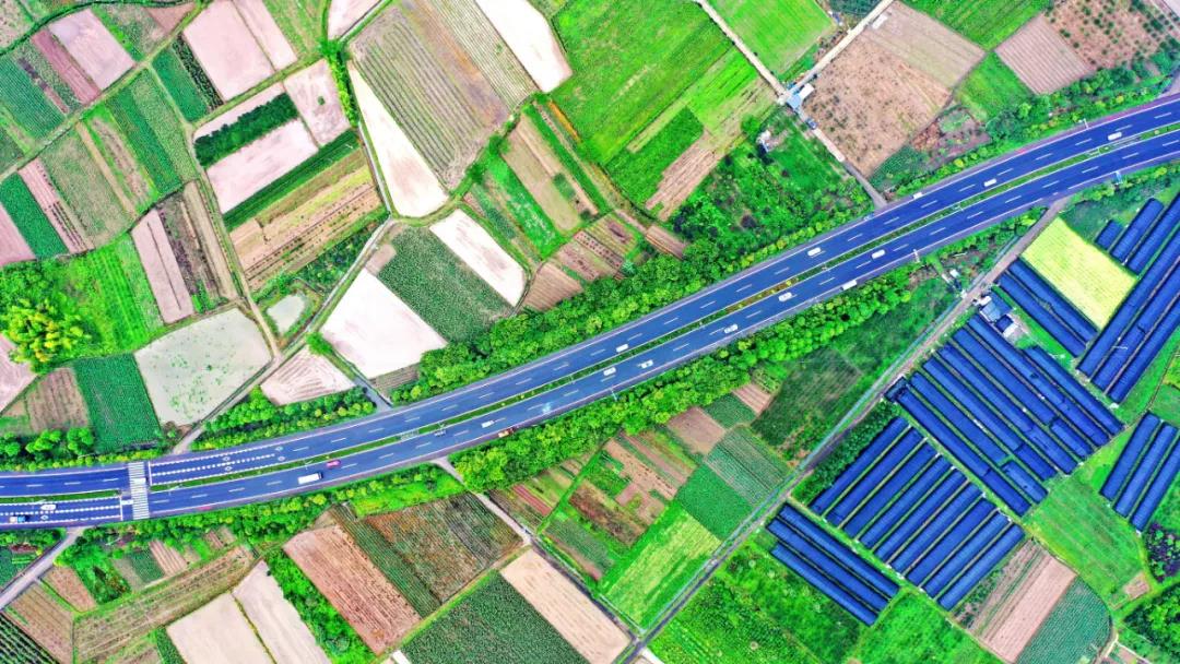 1623048539839399.jpg 22.jpg