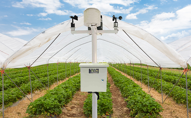 田間小氣候氣象站 (5).png