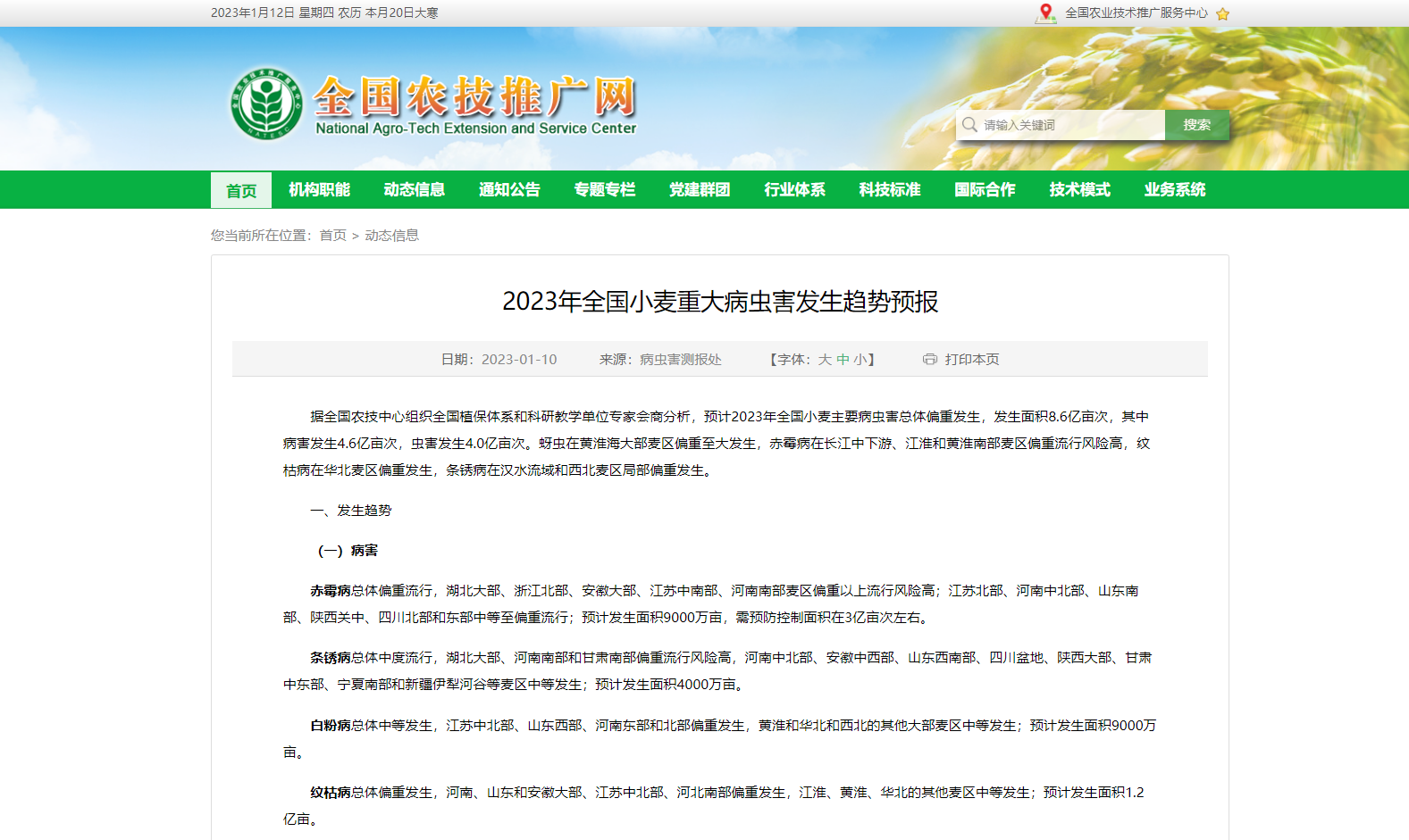 2023年全國(guó)小麥重大病蟲害發(fā)生趨勢(shì)預(yù)報(bào)