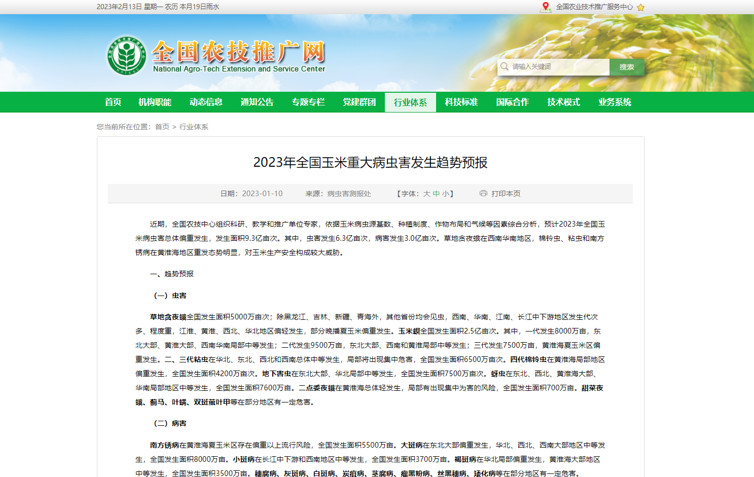 2023年全國(guó)玉米重大病蟲害發(fā)生趨勢(shì)預(yù)報(bào)