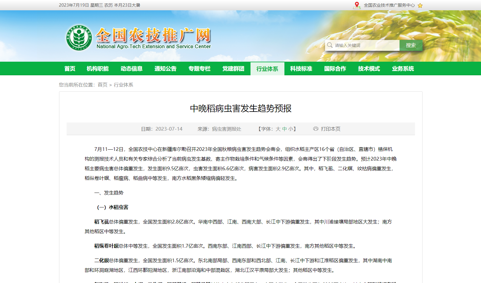 中晚稻病蟲害發(fā)生趨勢(shì)預(yù)報(bào)