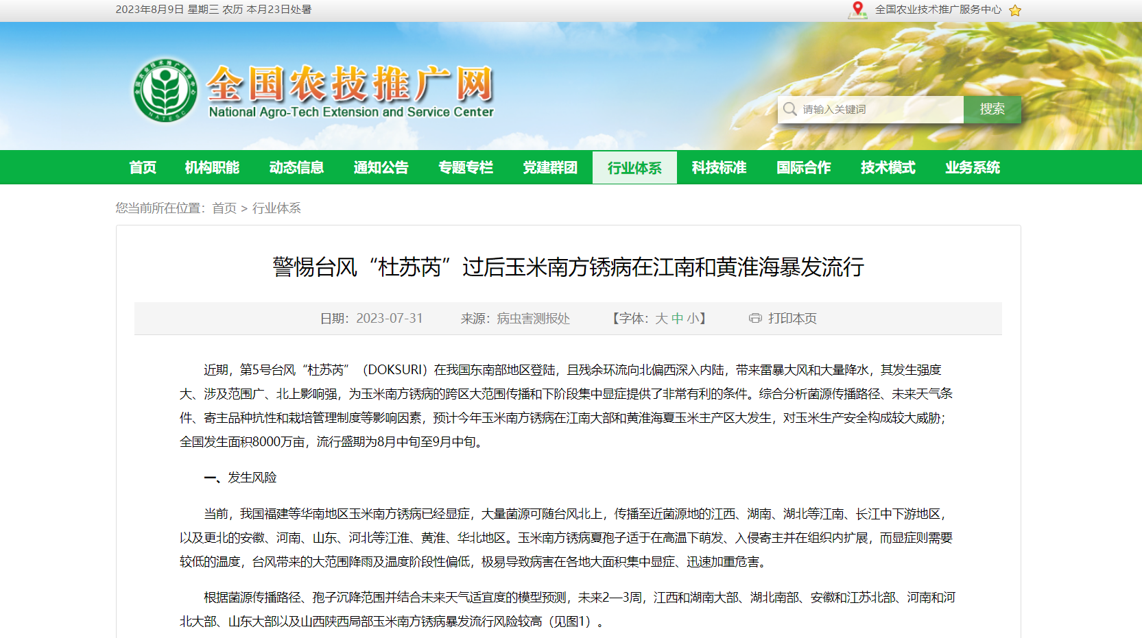 警惕臺(tái)風(fēng)“杜蘇芮”過后玉米南方銹病在江南和黃淮海暴發(fā)流行